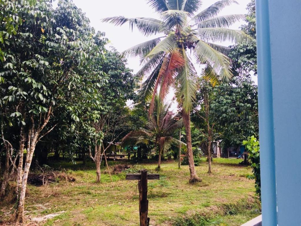 Baan Kalaya Garden Ban Mai Exterior foto